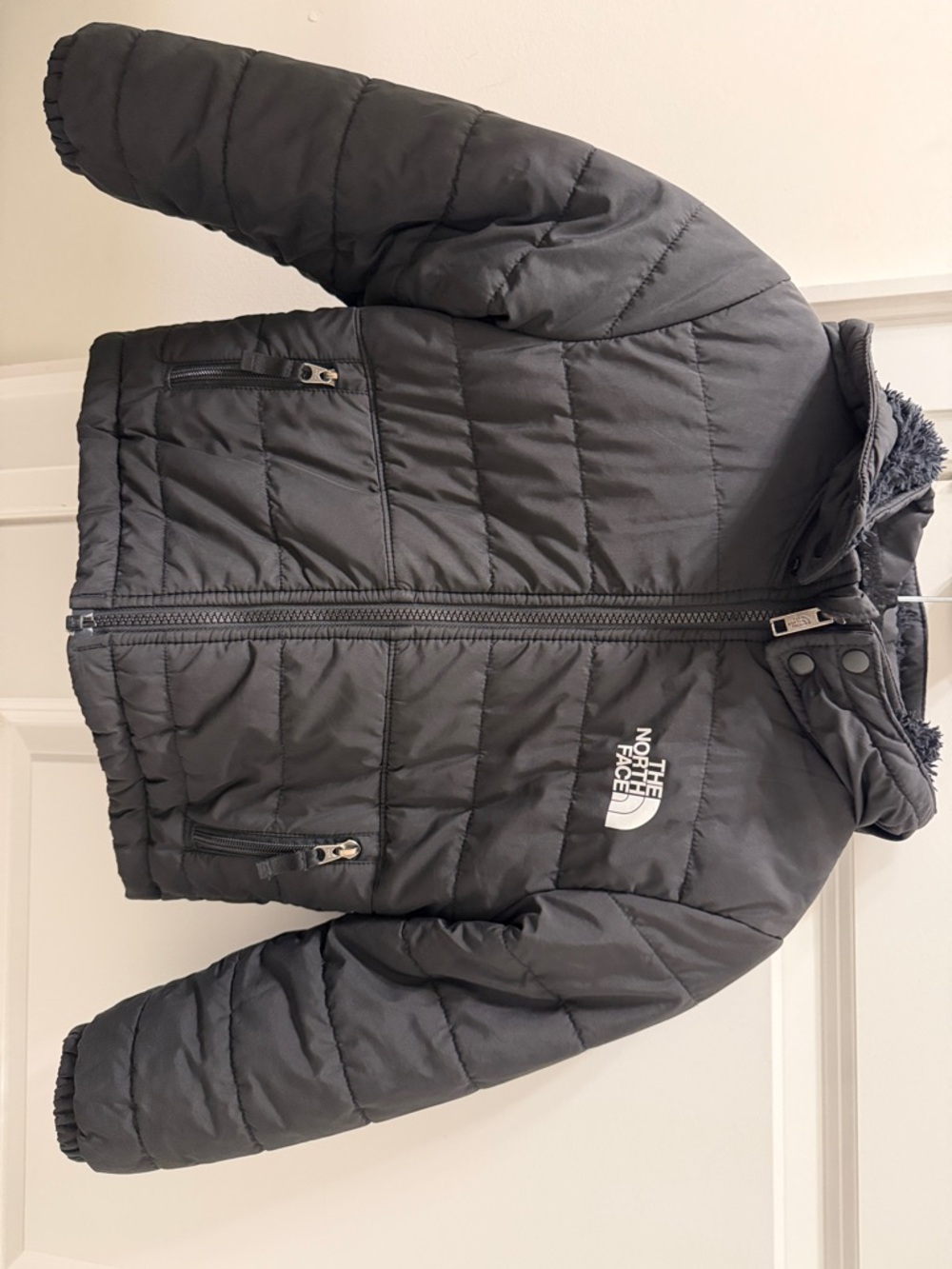 The North Face Black Hooded Puffer Jacket